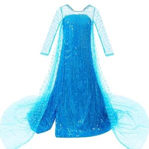 3T Elsa Dress Costume